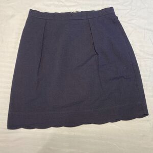 Lauren James Navy Blue Seersucker Pleated Skirt Pockets Preppy MADE IN USA Sz M